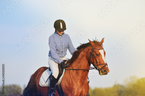 Girl jockey riding a horse © sergo321