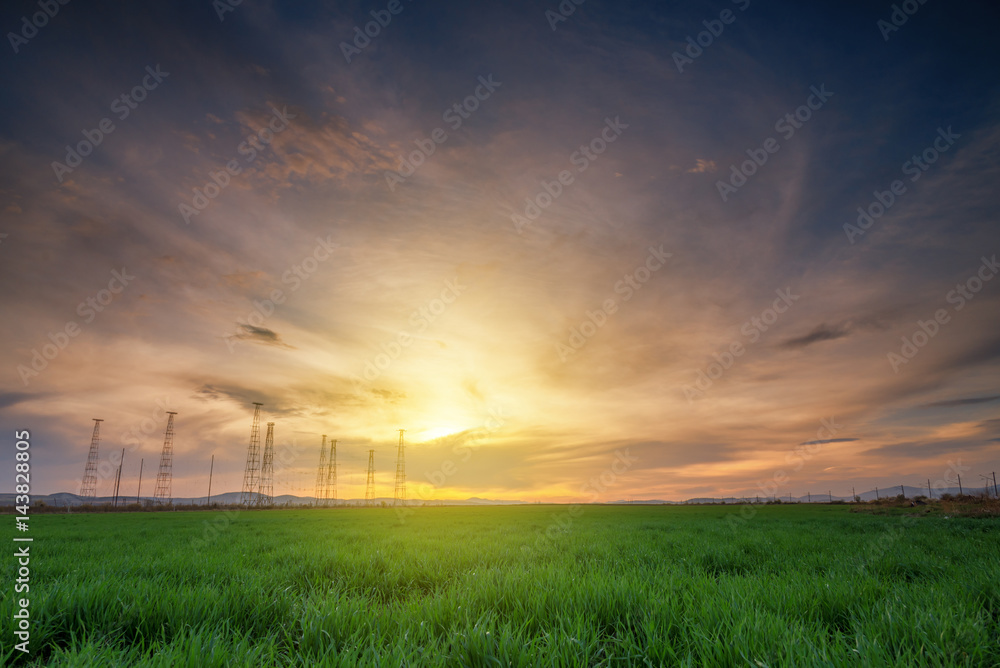 Obraz premium Rural landscape with wheat field on sunset