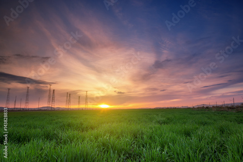 Rural landscape with wheat field on sunset