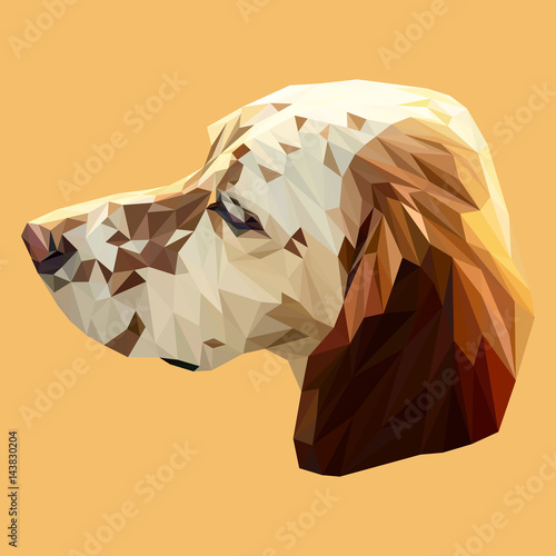 Irish Setter dog animal low poly design. Triangle vector illustration.