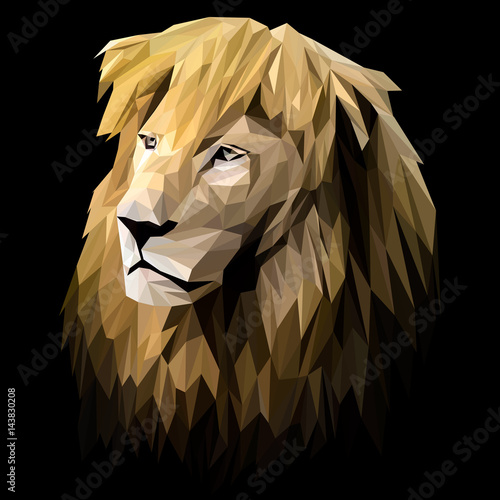 Fototapeta Naklejka Na Ścianę i Meble -  Lion low poly design. Triangle vector illustration.