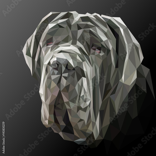 Mastiff dog animal low poly design. Triangle vector illustration.