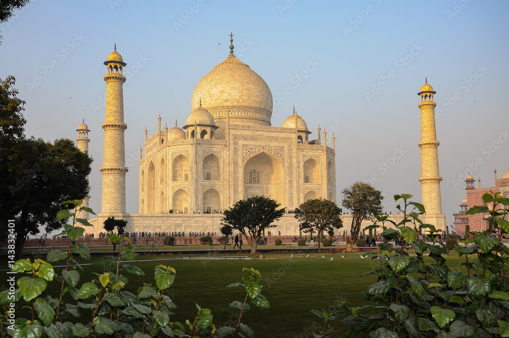 Fototapeta premium Indien - Agra - Taj Mahal