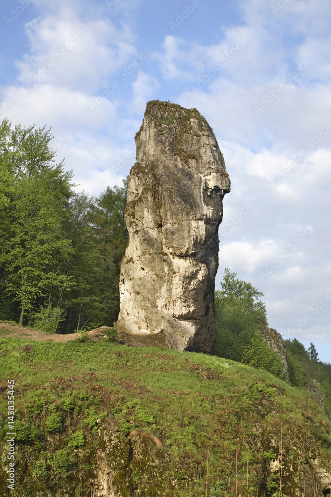 Maczuga Herkulesa monadnock near Pieskowa Skala (Little Dog's Rock) castle at Ojcow National Park.Poland