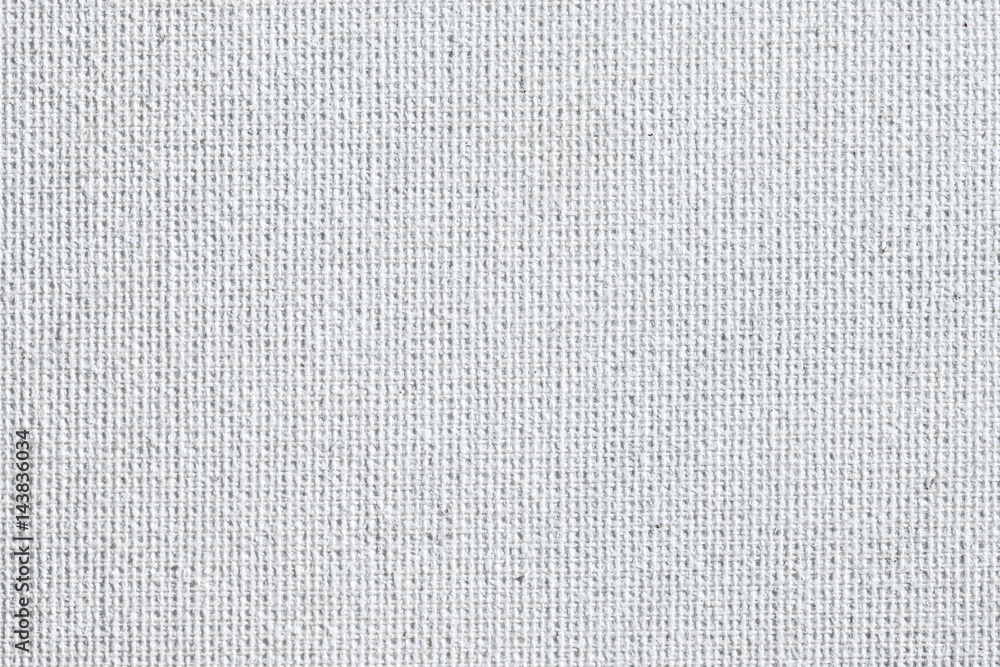 White canvas texture. White canvas texture.