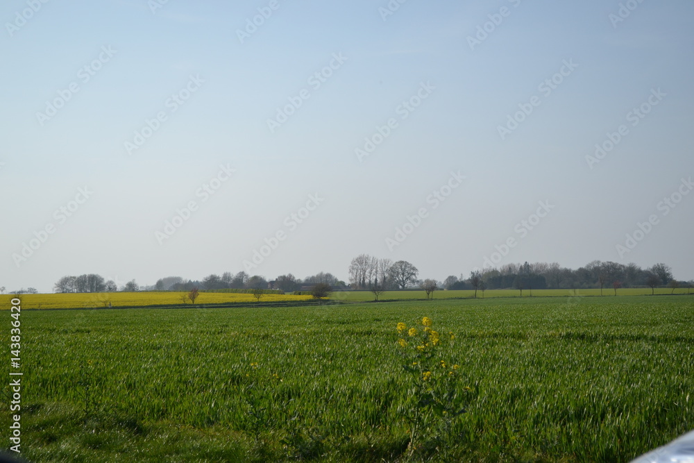 fields countryside