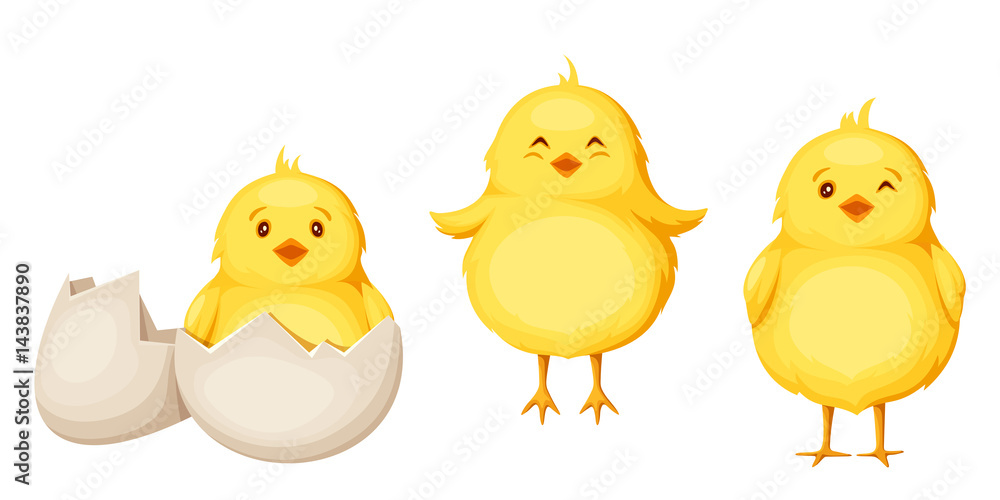 Set of three cute yellow Easter chickens isolated on a white background.