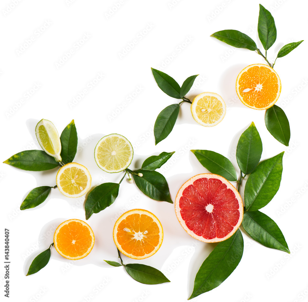 Set of different citrus fruits Set of different citrus fruits