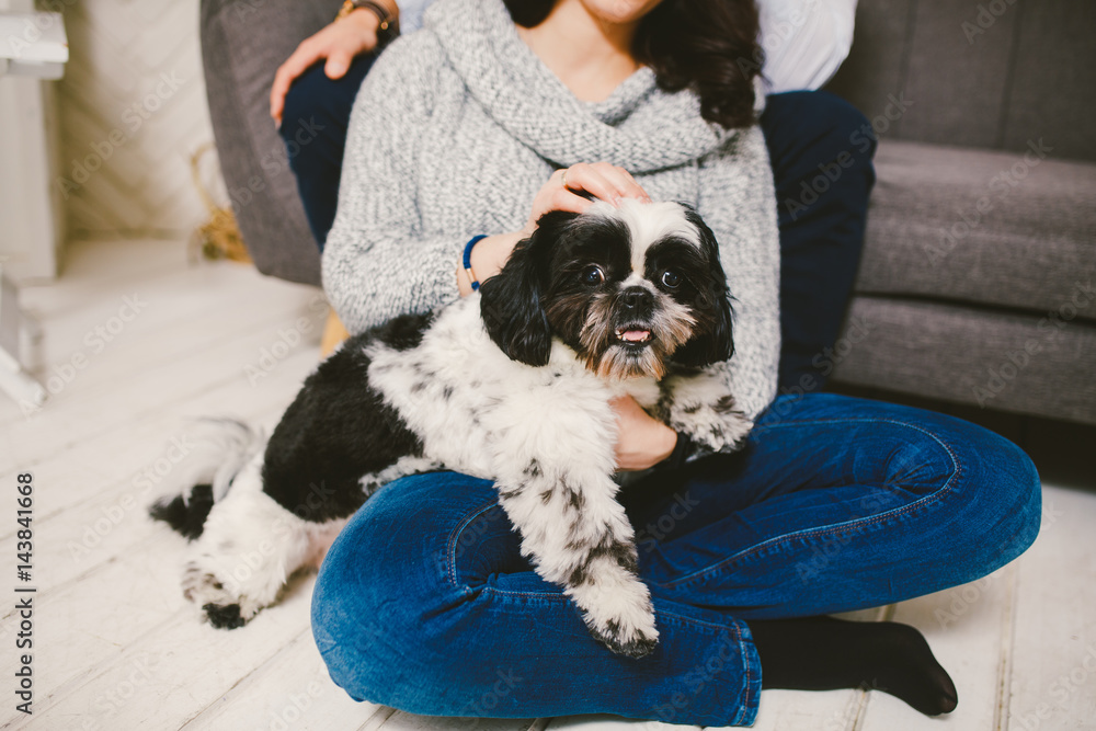 Shih Tzu sitting with people, a dog and a family, Shih Tzu sitting with people, a dog and a family,