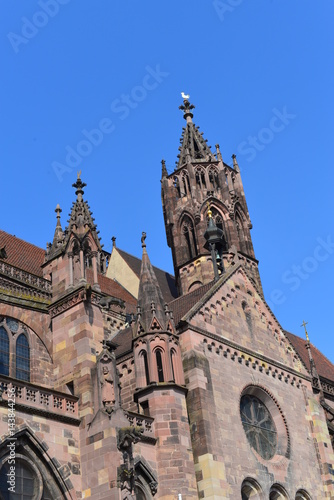 Freiburger Münster