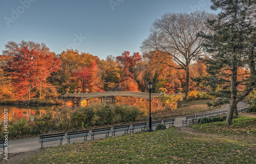 Bow bridge Central Park autumn