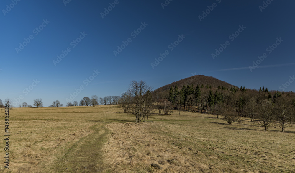 Fototapeta premium Blue sky day in national park