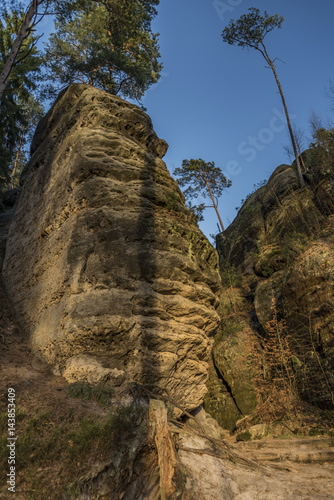 Color evening in forest with big rocks photo