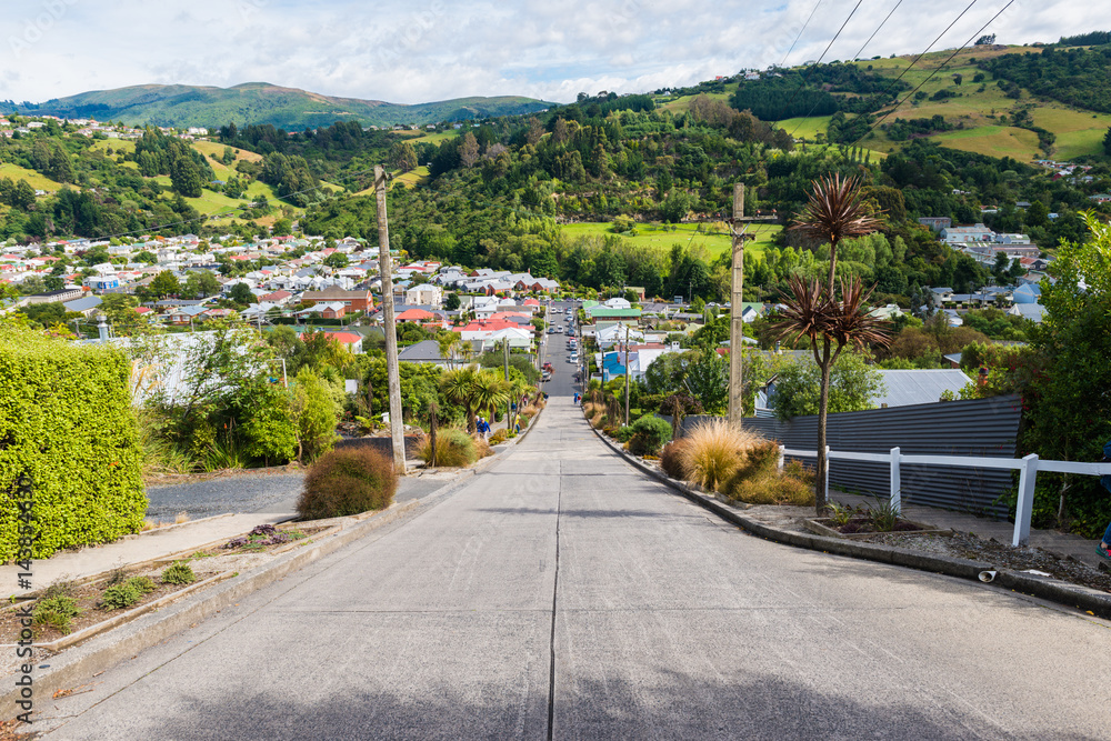 View from the top of the worlds steepest street