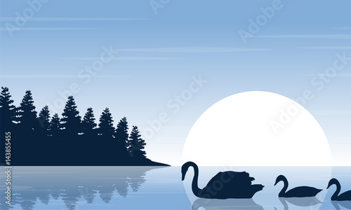 Silhouette of swan on river scenery photo