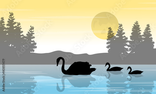 Silhouette of swan and tree on lake scenery photo