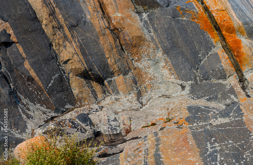 Obraz na plátně Lichen and moss on gneiss rock