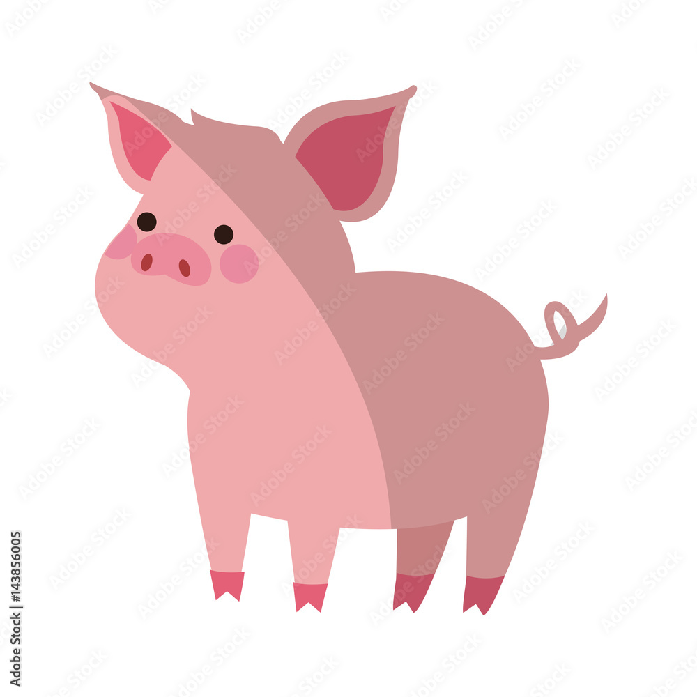 Fototapeta premium cute pig animal, cartoon icon over white background. colorful design. vector illustration