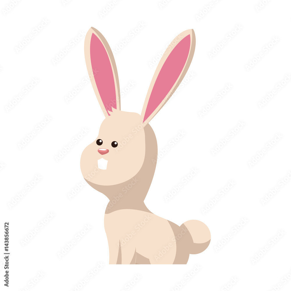 cute bunny animal, cartoon icon over white background. colorful design. vector illustration cute bunny animal, cartoon icon over white background. colorful design. vector illustration