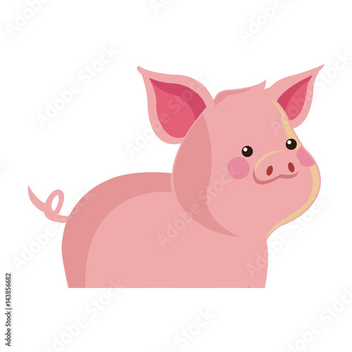 cute pig animal, cartoon icon over white background. colorful design. vector illustration © Jemastock