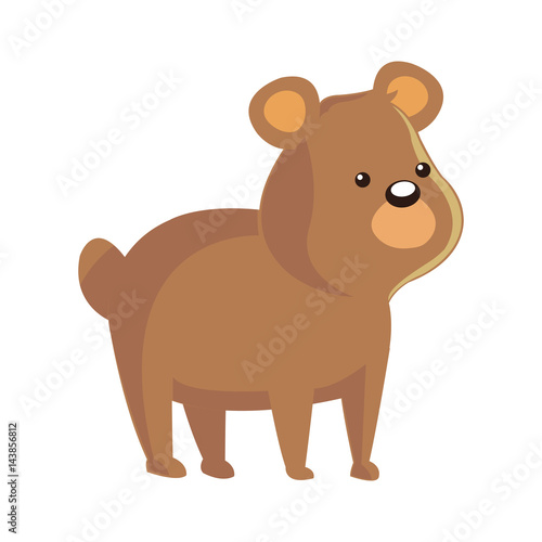 cute bear animal  cartoon icon over white background. colorful design. vector illustration