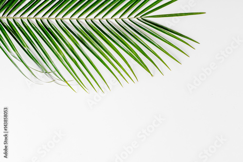 Floral pattern with green leaves on white background top view mockup