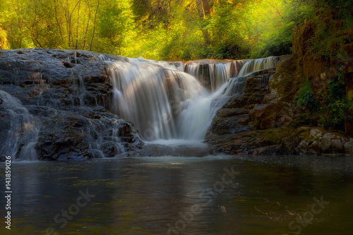 Fototapeta Naklejka Na Ścianę i Meble -  Waterfall at Sweet Creek Hiking Trail Complex
