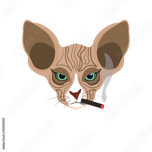 Sphynx hairless cat face with cigarette isolated on white