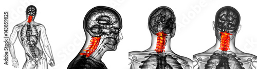 3d rendering medical illustration of the cervical spine