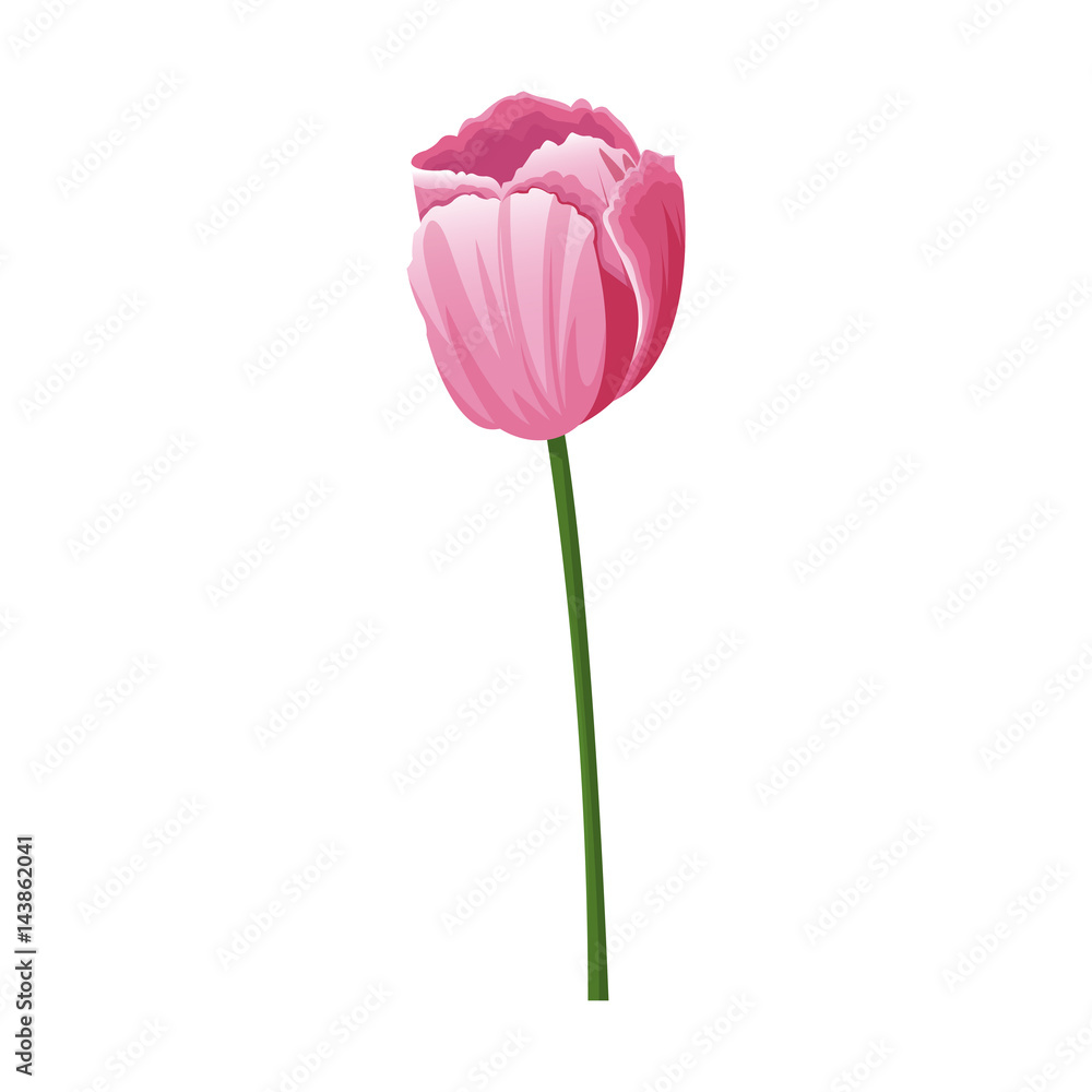 tulip flower icon over white background. colorful design. vector illustration tulip flower icon over white background. colorful design. vector illustration