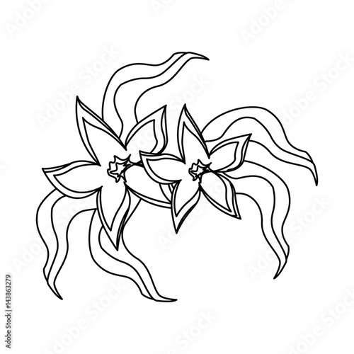 tropical flower icon over white background. vector illustration