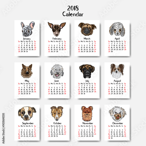 Funny happy dogs, calendar 2018 design. Chinese new year, the year of the dog zodiac monthly cards templates. Set of 12 month. Cute doggy vector.