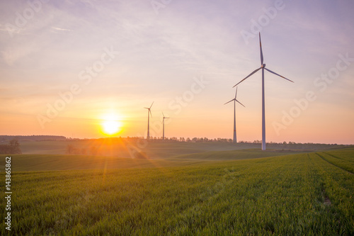 Windmills (wind turbines) in a field at sunrise
