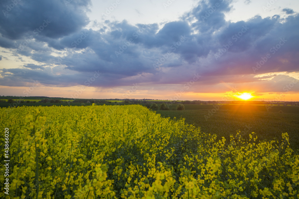 spring field in Germany, agricultural land in Brandenburg spring field in Germany, agricultural land in Brandenburg
