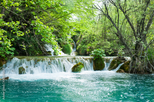 Fototapeta Naklejka Na Ścianę i Meble -  Waterfall and greenery of natural bus with turquoise water Plitvice Lakes National Park