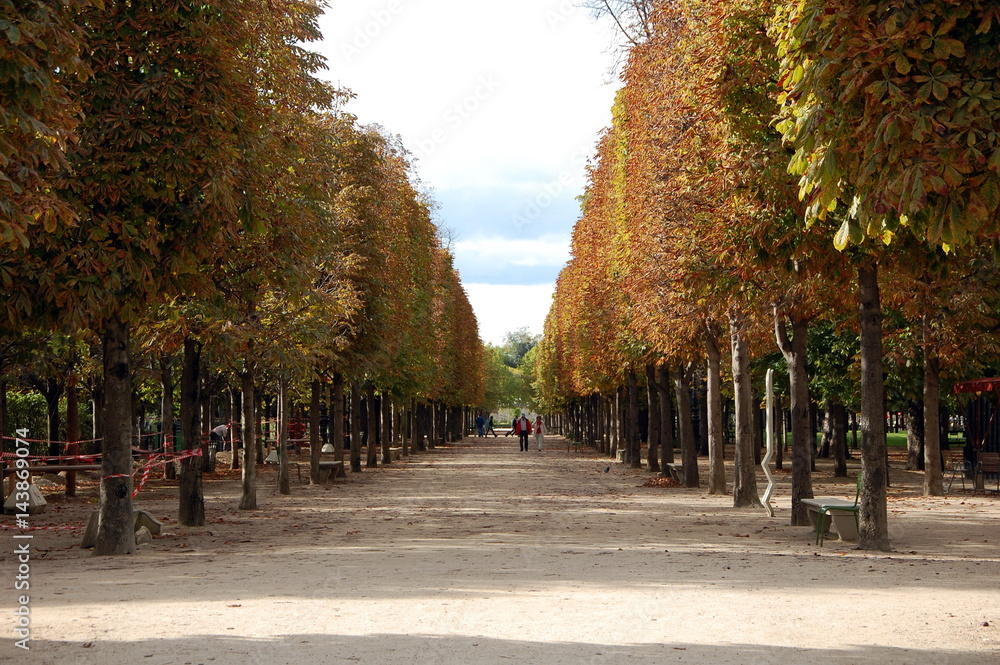 Autumn in Paris. Chestnut alley in Tuileries Garden Autumn in Paris. Chestnut alley in Tuileries Garden