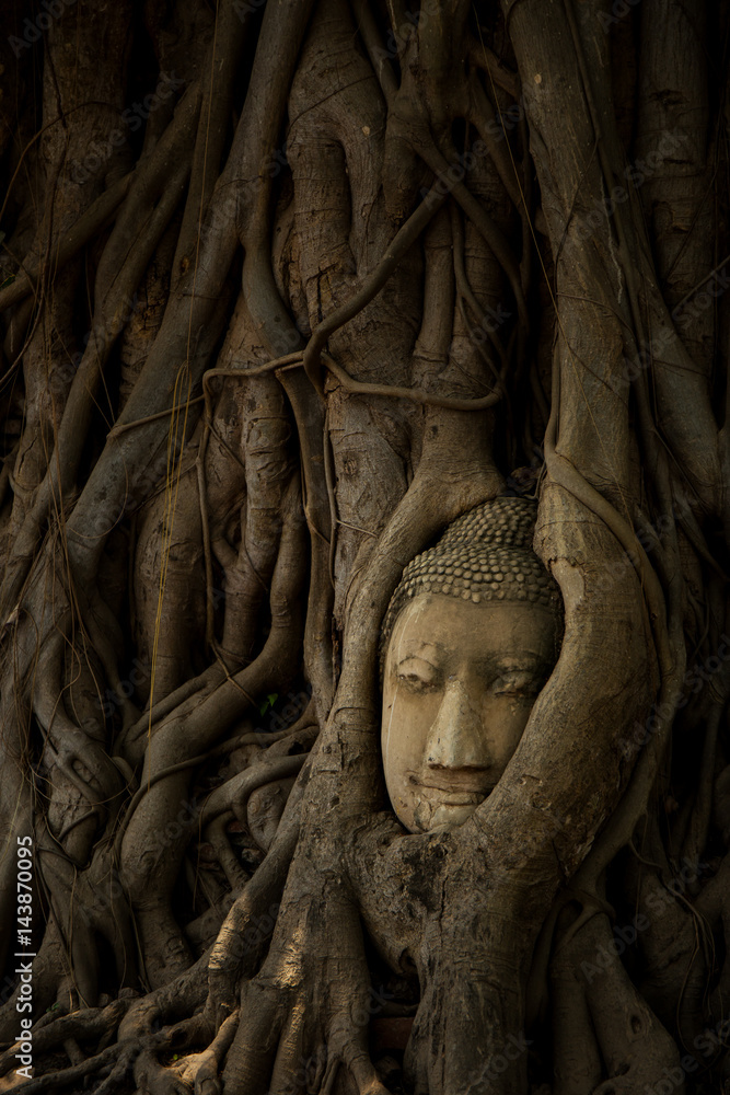 Buddha Image Head