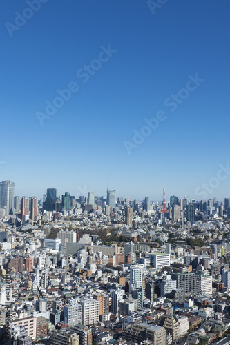 東京都市風景 東京タワーと街並全景 快晴青空