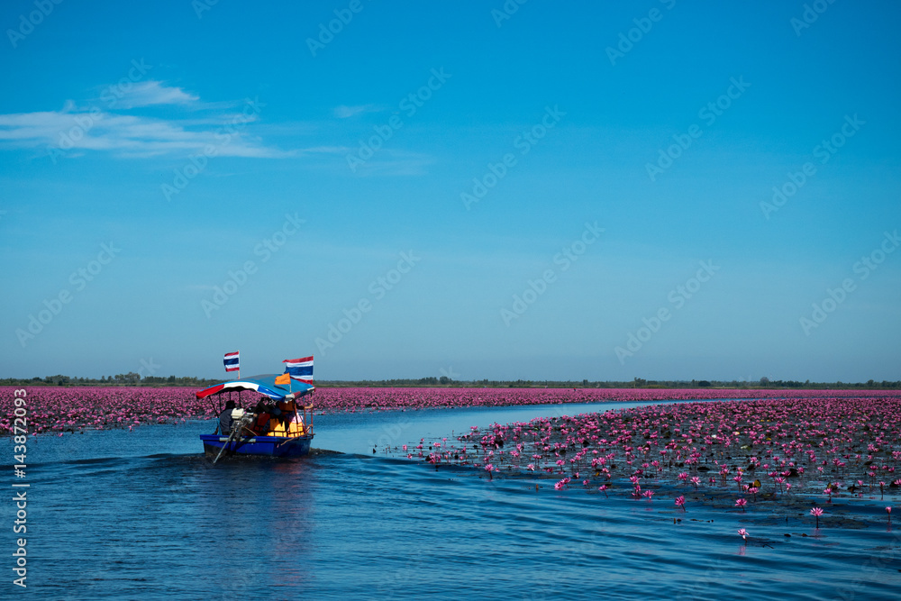 red lotus lake in North East of Thailand destination