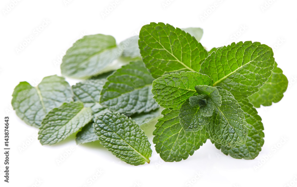 Mint leaves Mint leaves