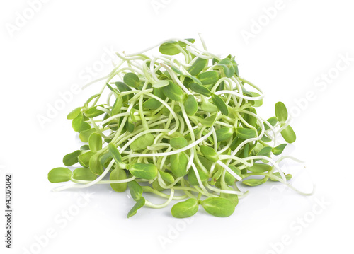 green young sunflower sprouts isolated on white background