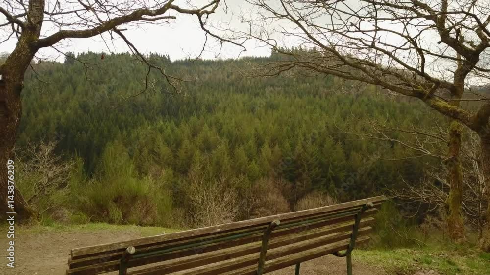 Aerial: Flying over a bench and then into the woods Aerial: Flying over a bench and then into the woods