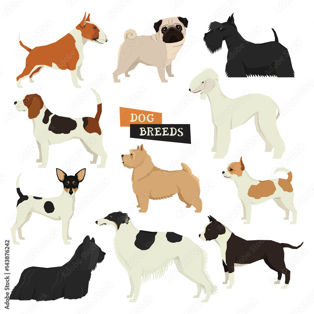 Dog collection Geometric style Vector set of different dog breeds Isolated objects Part three
