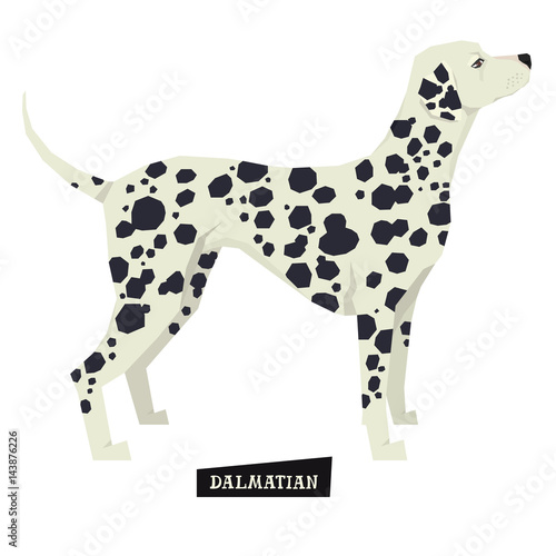 Dog collection Dalmatian Geometric style