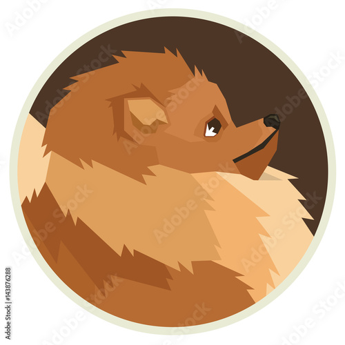 Dog collection Pomeranian Geometric style Avatar icon round