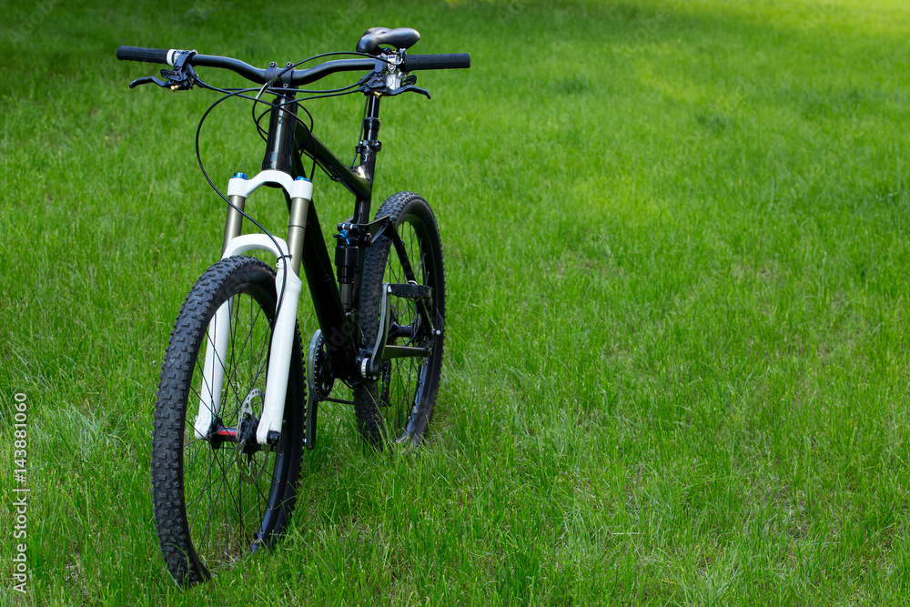 the mountain bike the mountain bike
