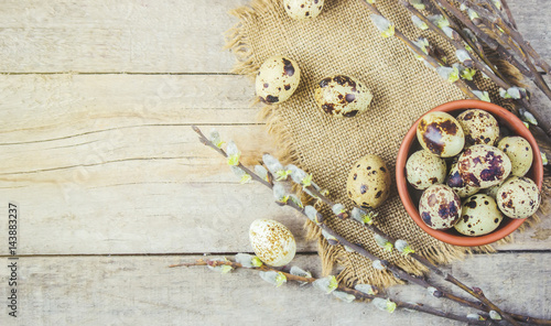 quail eggs on a beautiful spring background. Selective focus.   photo