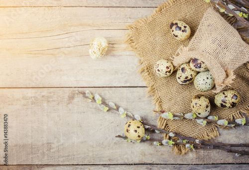 quail eggs on a beautiful spring background. Selective focus.   photo