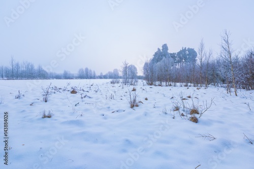Fototapeta Naklejka Na Ścianę i Meble -  Winter foggy landscape in polish countryside