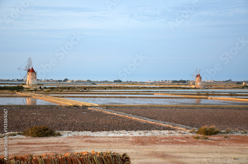 Quadro su tela Saline Ettore e Infersa